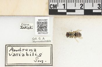 Media type: image;   Entomology 774127 Aspect: Labels